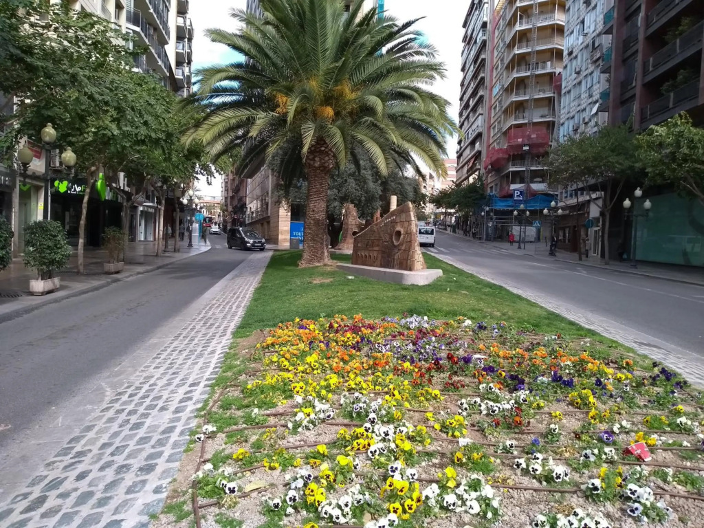 La Estrella de Alicante