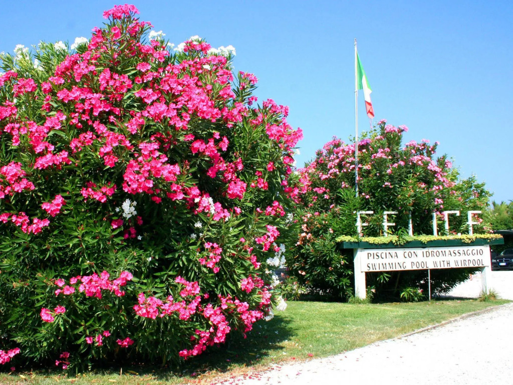 Hotel La Pigna