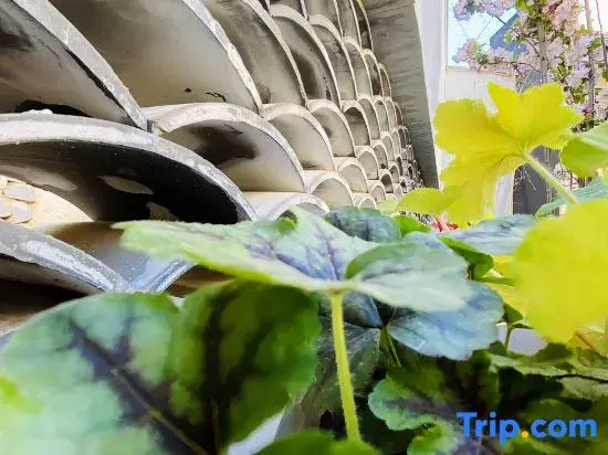 Travel Courtyard