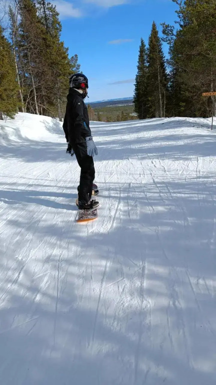 Arctic therem