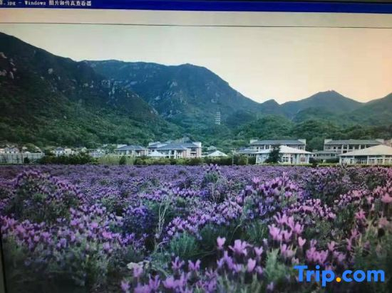 Zhoushan Peach Blossom Island Play Sand Sea View Homestay