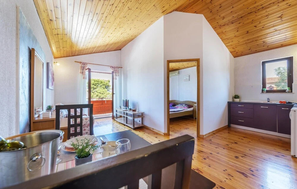 Nice Apartment in Kanfanar With Wifi and 1 Bedrooms