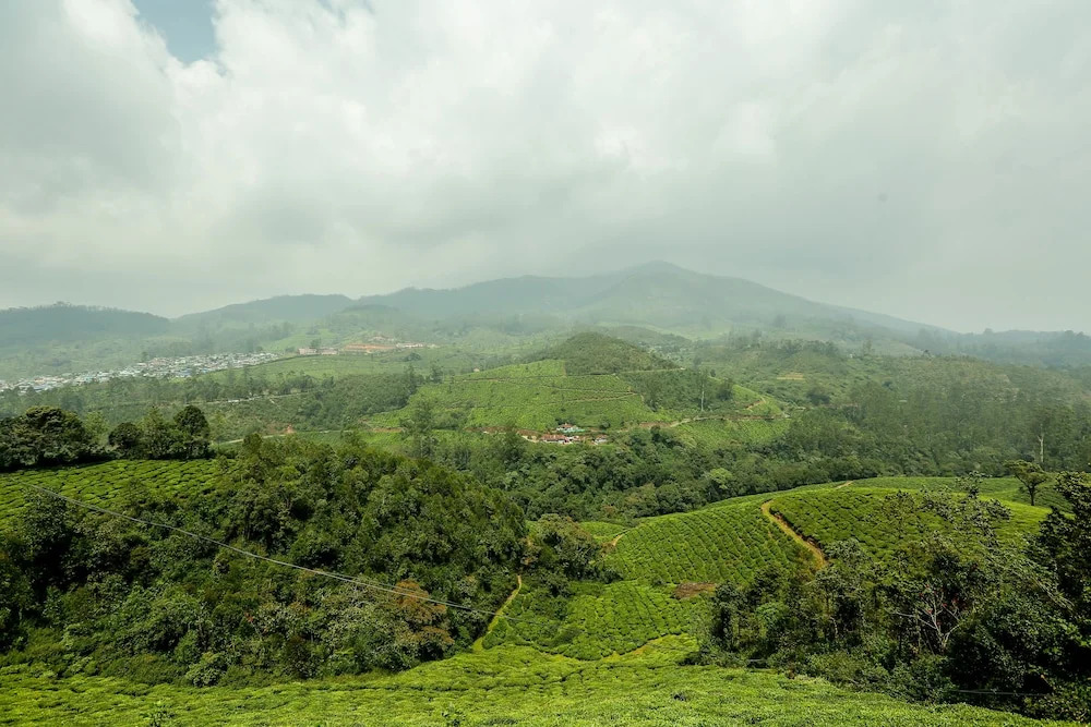 OYO 7244 Diamond Hills Resort