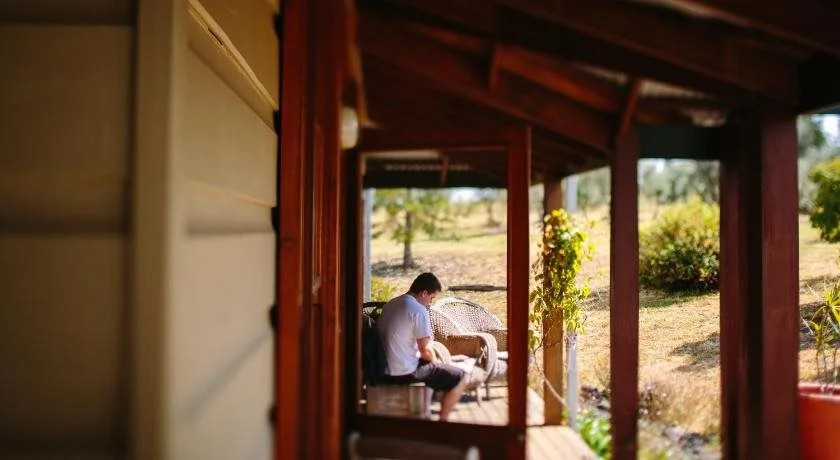 Hanging Tree Wines