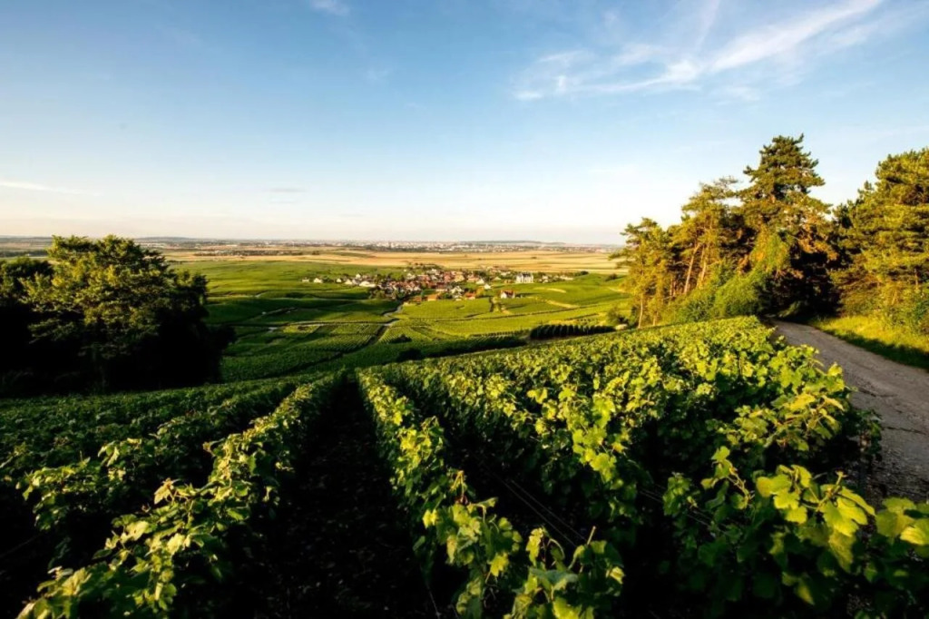 Chateau de Sacy