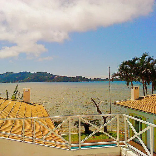 Girassóis da Lagoa