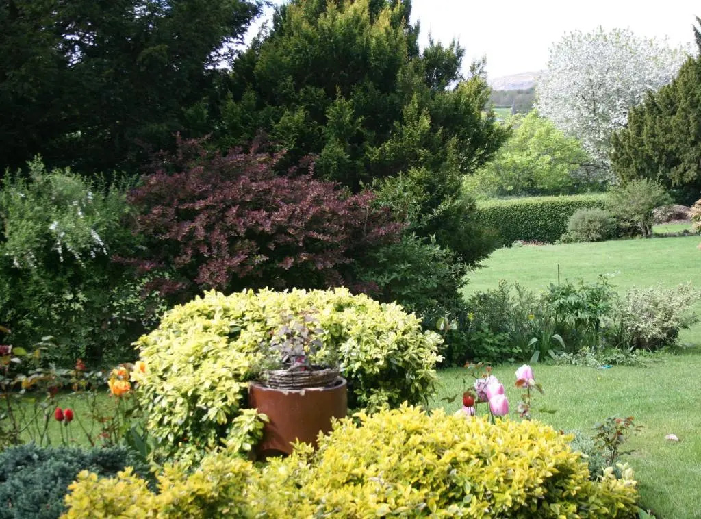 Penralley House B&B