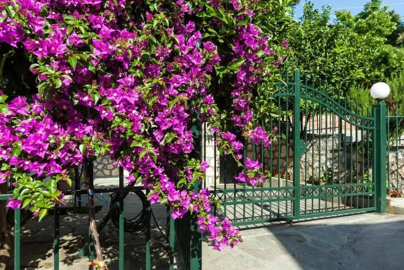 Xenios Loutra Village Mary'S House