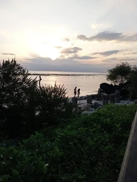 Wahyu Gili 1