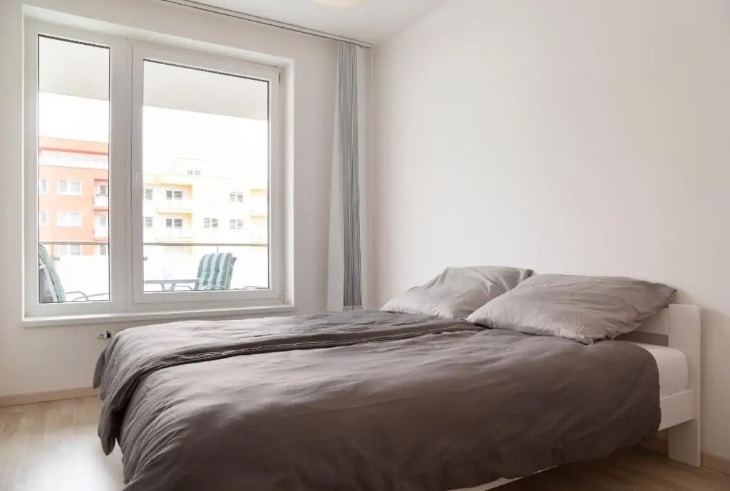 Great tourist and business Apartment near center