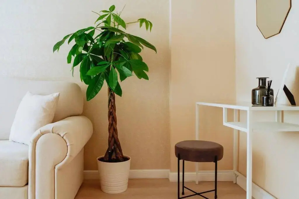 Elegant Vibes Apartment next to Obor market