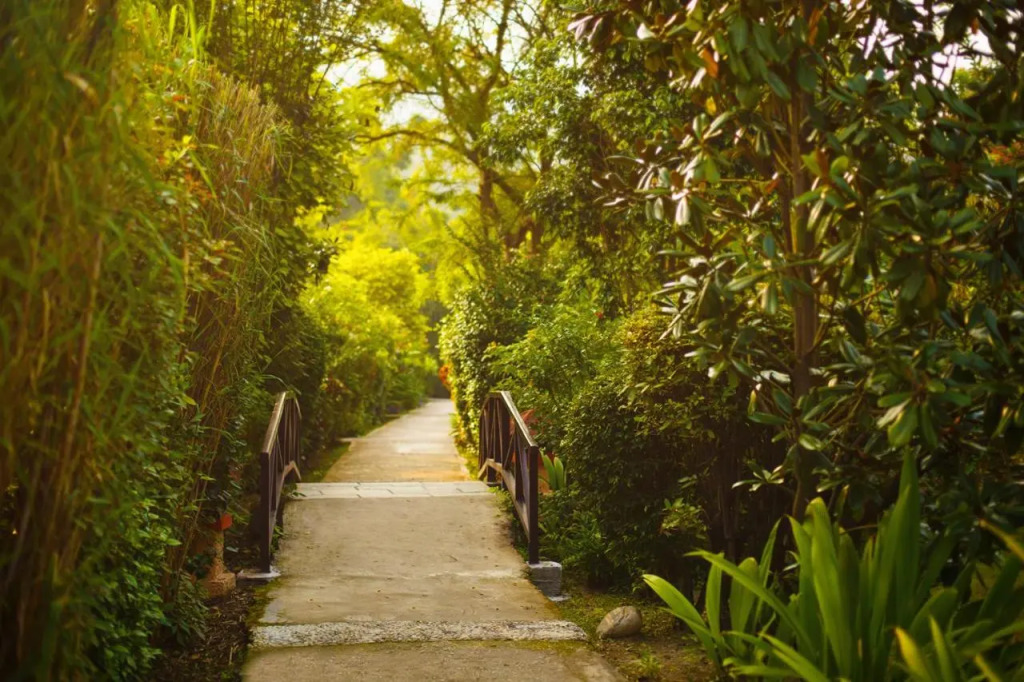 The Riverview Retreat, Corbett