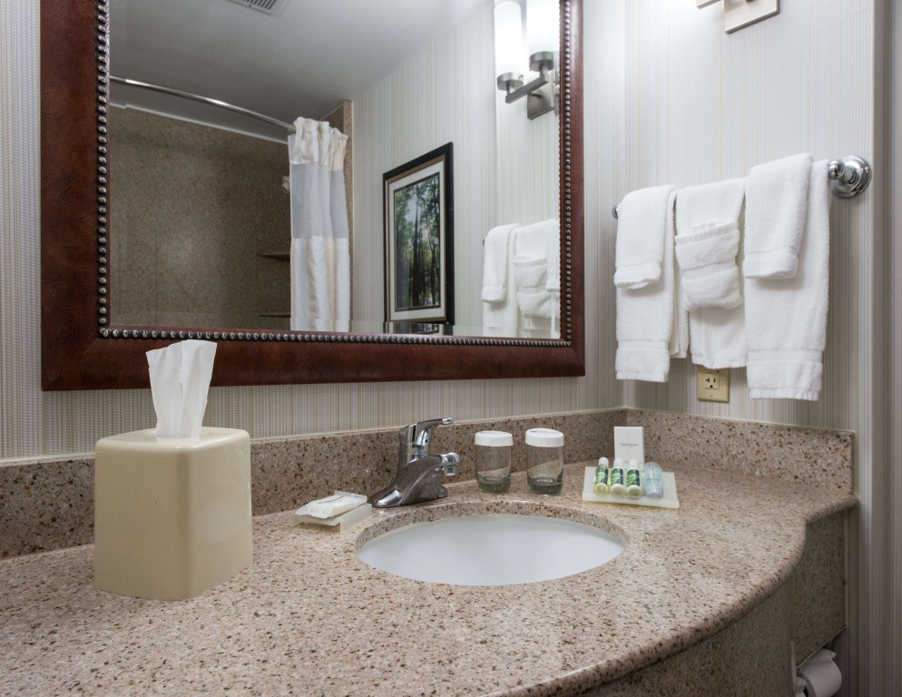 Hilton Garden Inn Lafayette/Cajundome