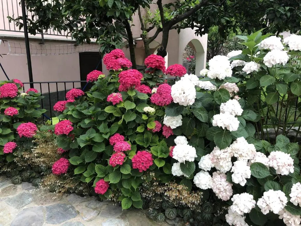 B&B Ca' du Brigidin