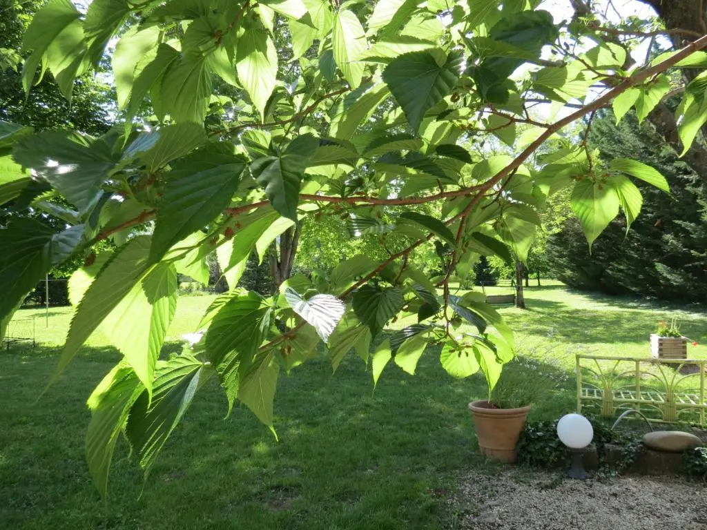 Le Jardin