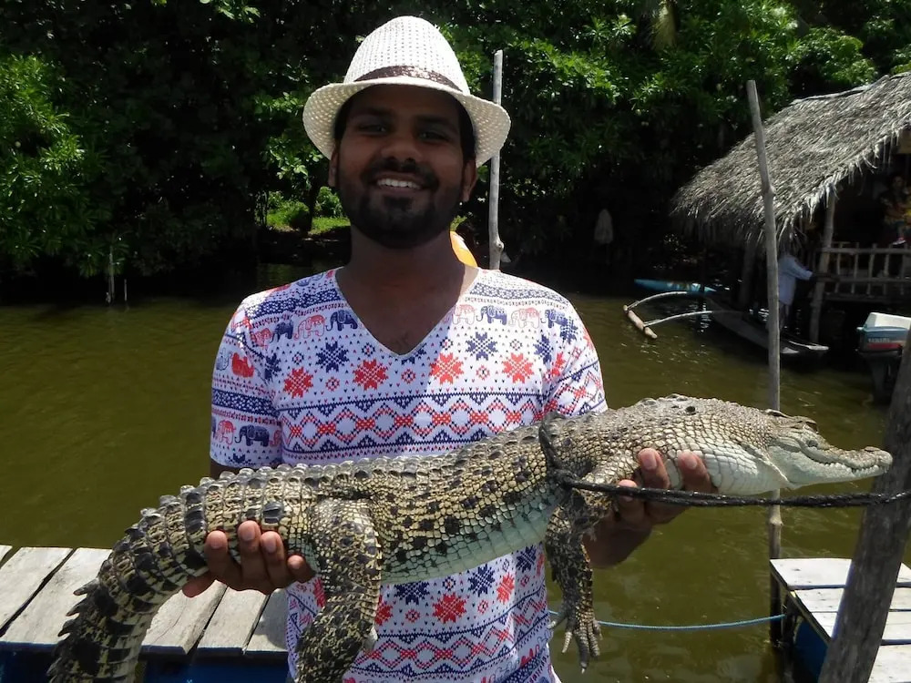 Dollyz Home - Sri Lanka