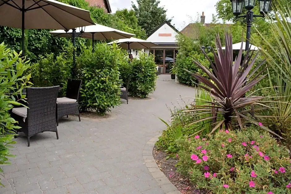 The Greyhound - Winterborne Kingston
