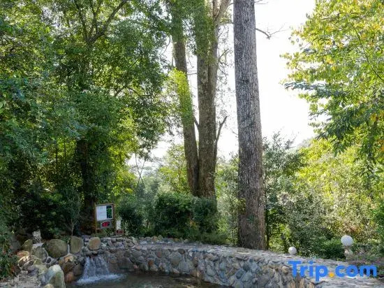 Tangzhaishan Hot Spring International Hotel