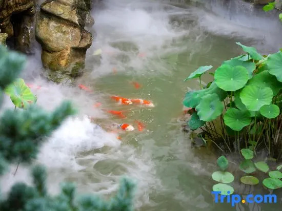 Weizheshan·Zen Landscape Resort Viewing Courtyard Parent-child Meisu (Hongcun Scenic Area Branch)