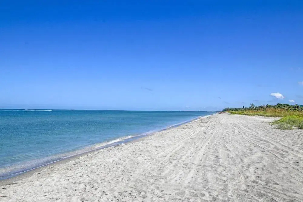 Captiva Tarpon