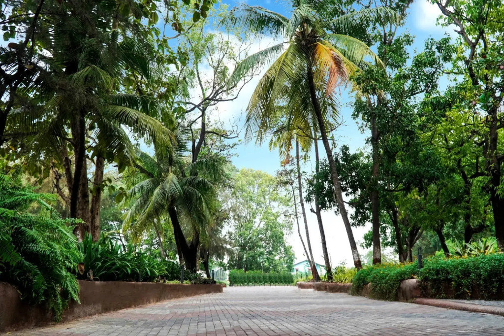 Shanti Resorts