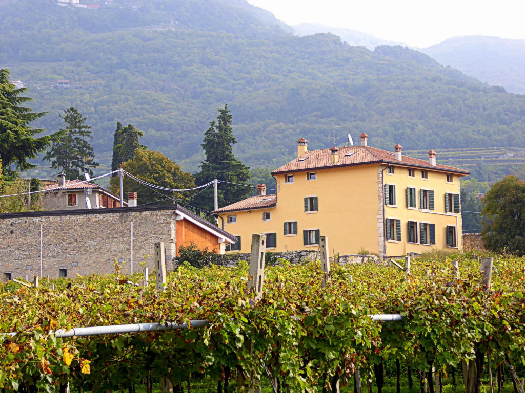 B&B Agorà