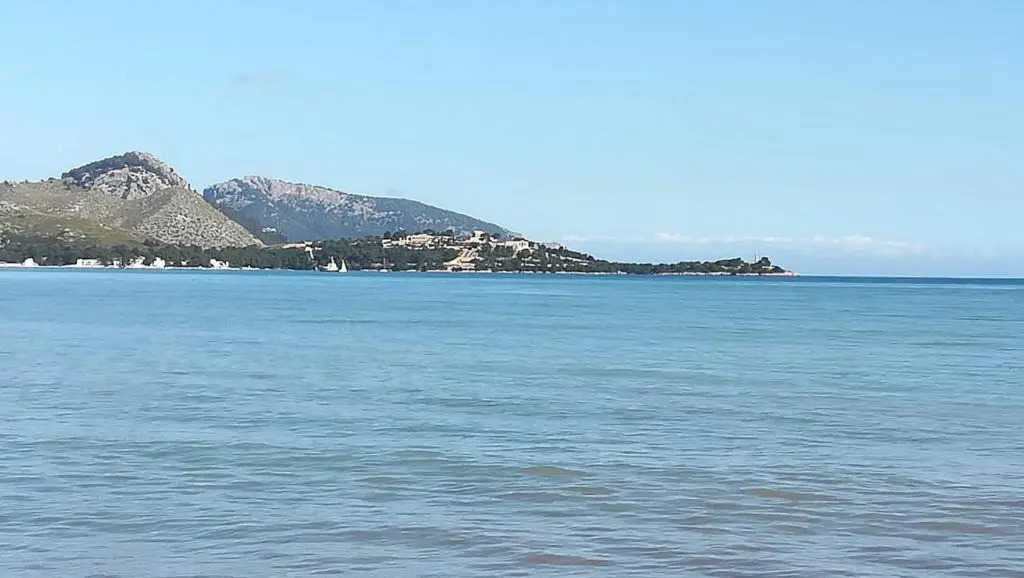Dalia