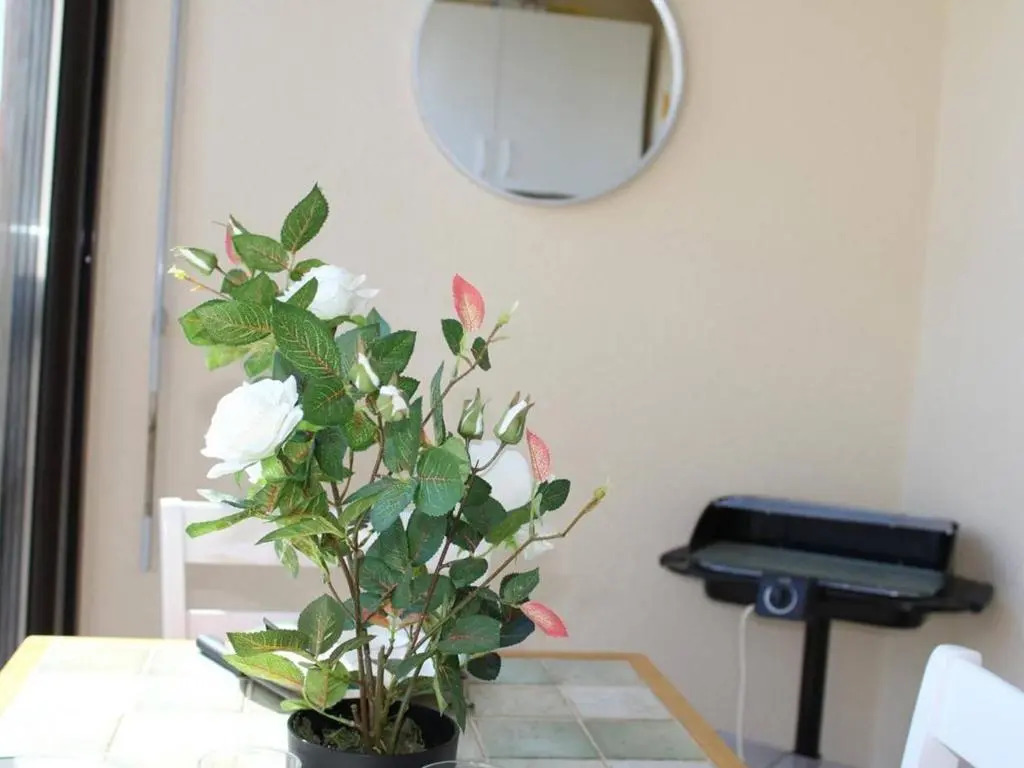 Appartement Gruissan, 1 pièce, 4 personnes - FR-1-229-56