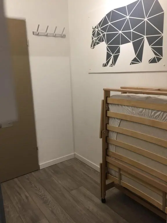 Bear Hutte