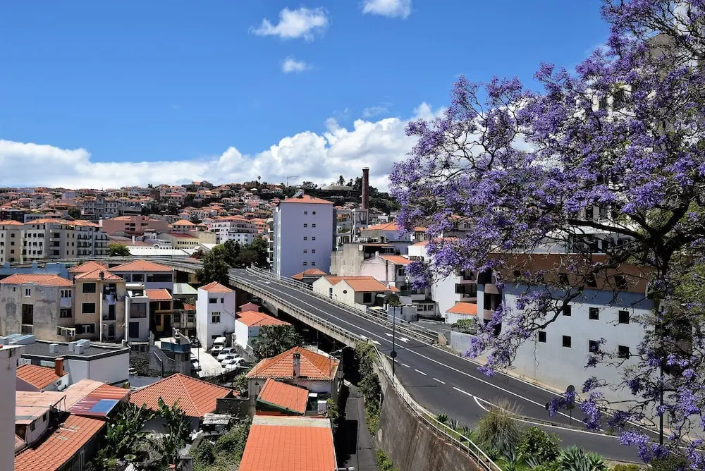 Encarnação Funchal, a Home in Madeira