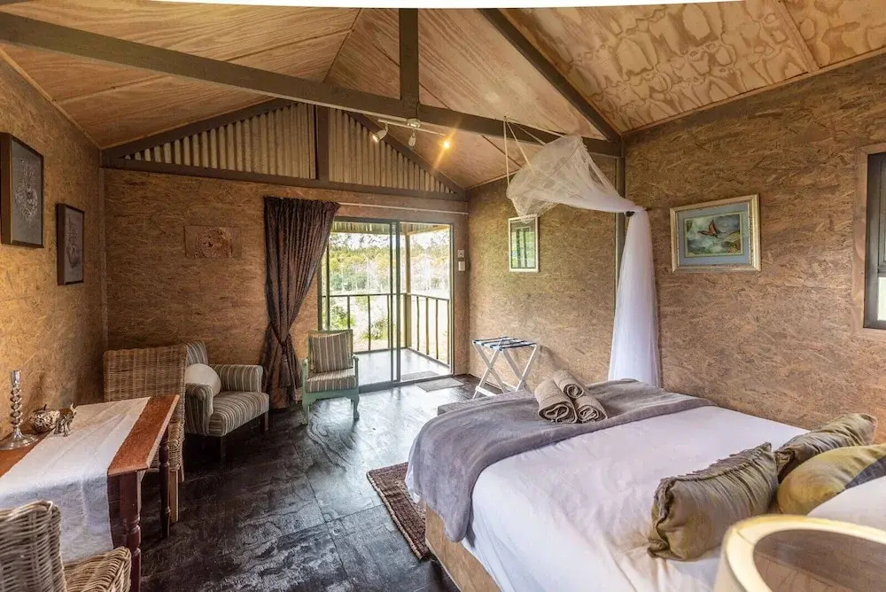 Sleep Whiskers Away From the Lions and " Feel " Them Roar! Cabin 4