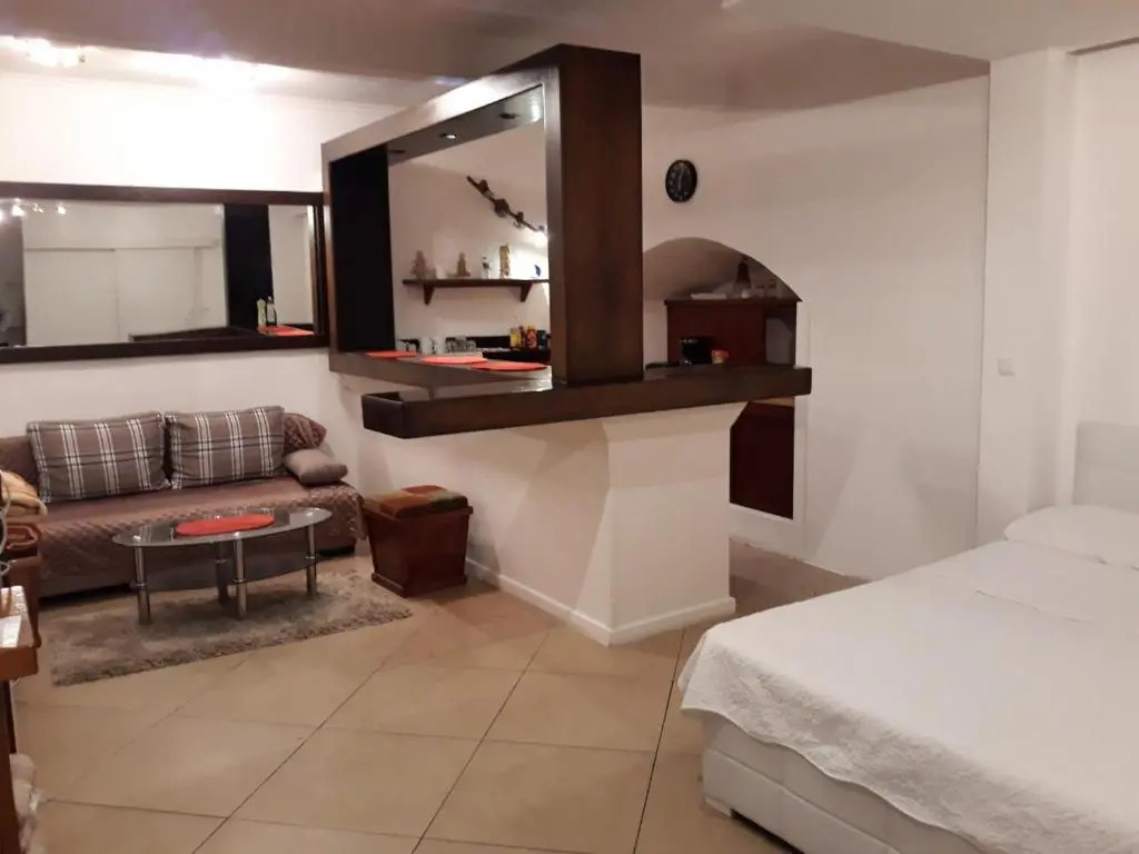 Studio Apartment Vukic