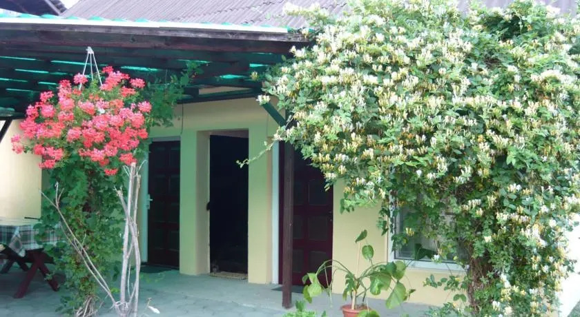 Casa Hajdu