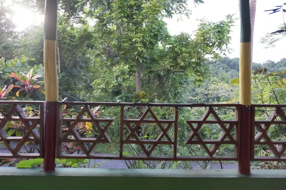 The Lion House Jamaica