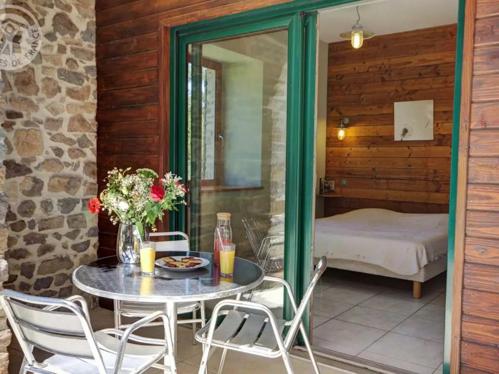 Gîte spacieux avec piscine privée, animaux acceptés - FR-1-496-25