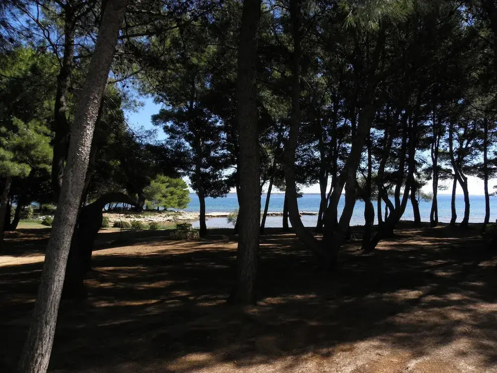 Vink - 80 m From Beach - A4