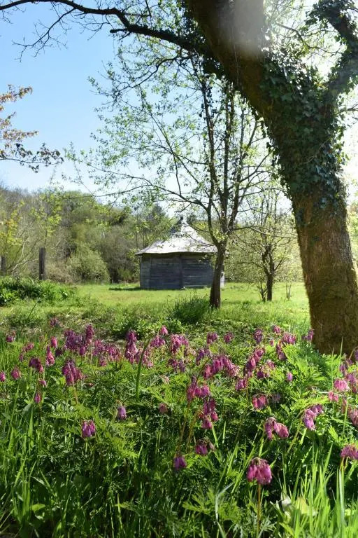 The Granite House