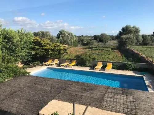 Finca Albenyeta