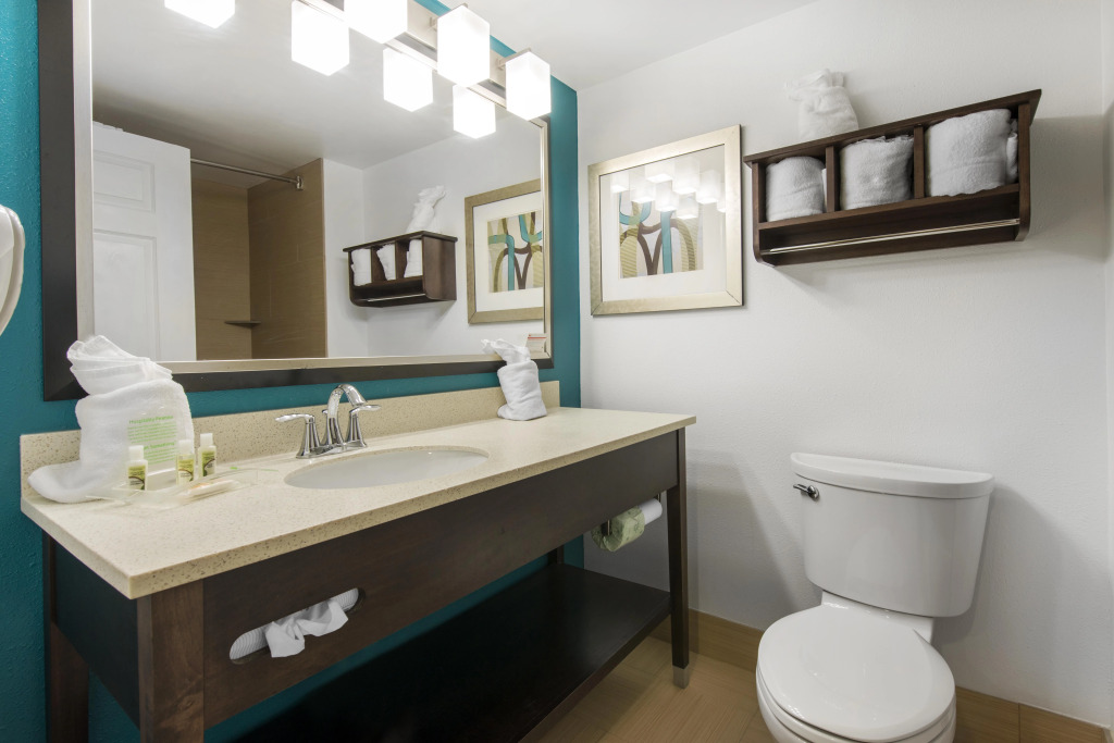 Holiday Inn Savannah South - I-95 Gateway by IHG