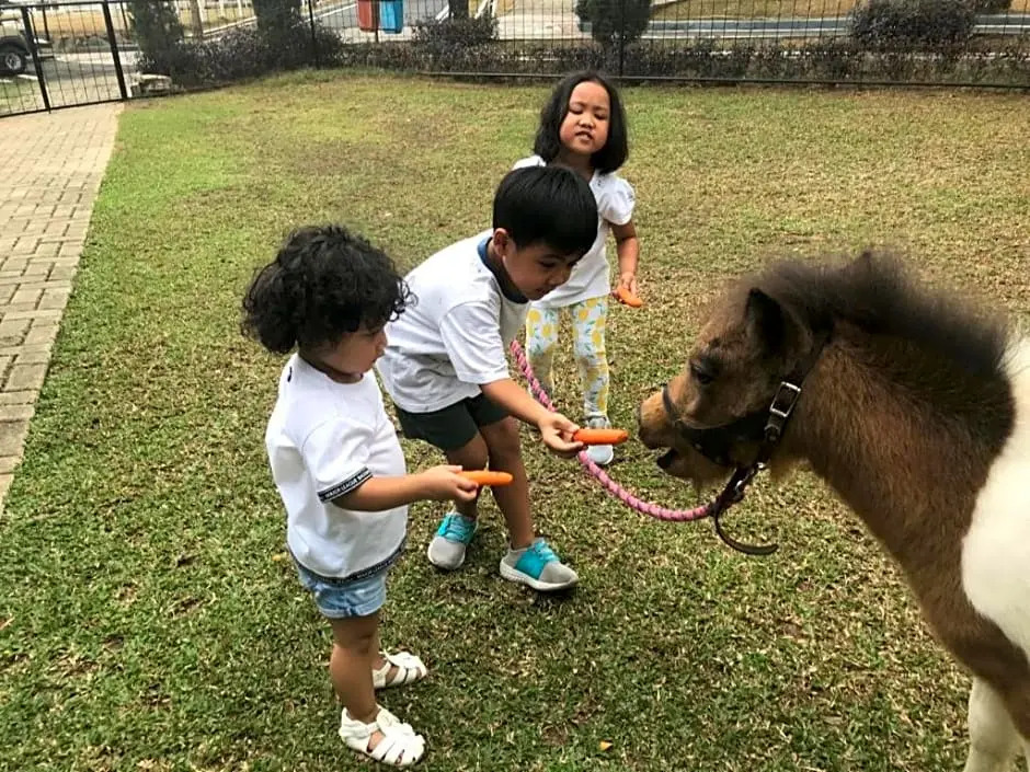 One Global Adria - Equine Estate & Resorts