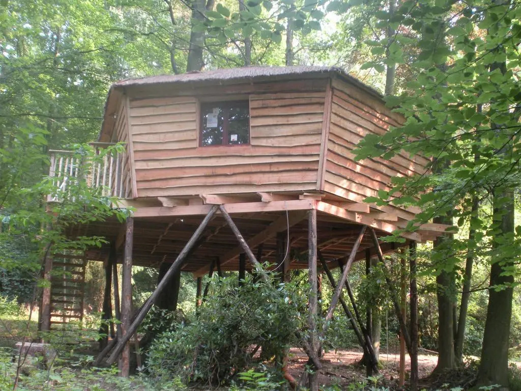 B&B Le Bois Dormant