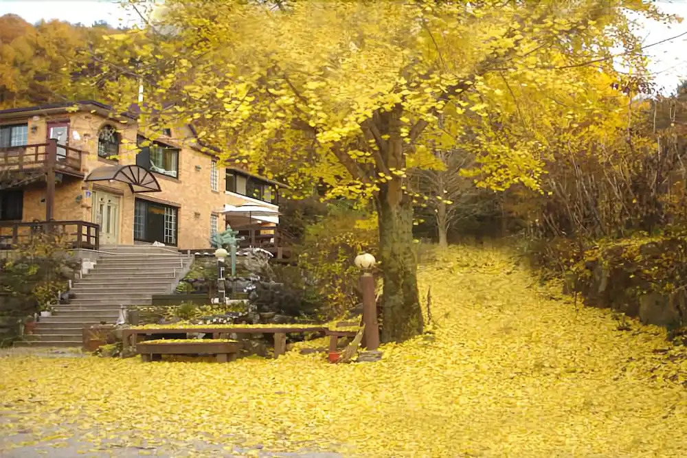 Yangpyeong Scented Clay Pension