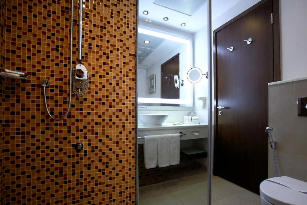 Radisson Blu Hotel and Convention Center, Riyadh Minhal