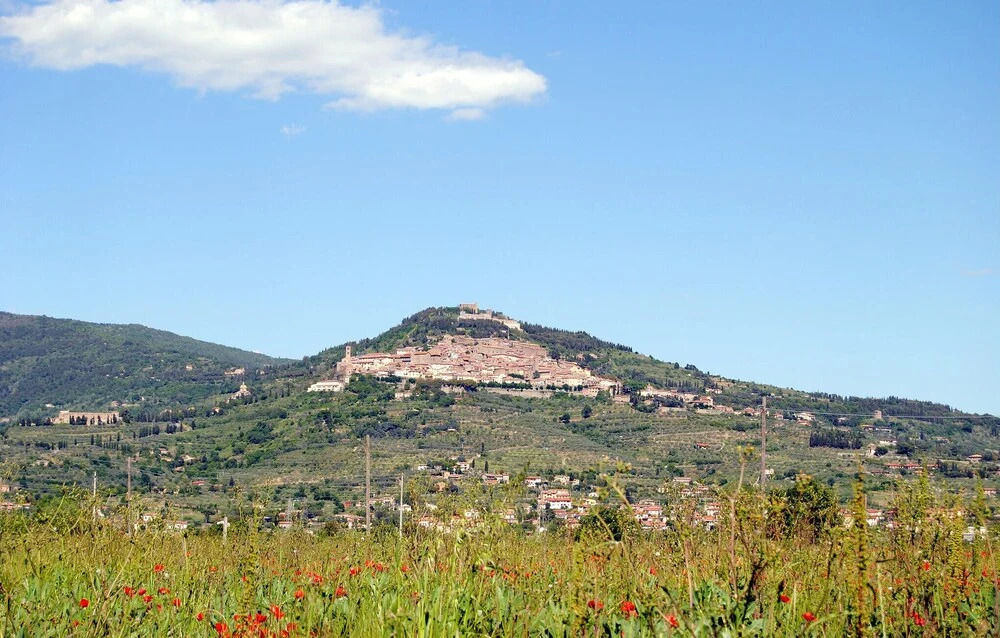 Nice Apartment in Cortona With Outdoor Swimming Pool, Wifi and 2 Bedrooms