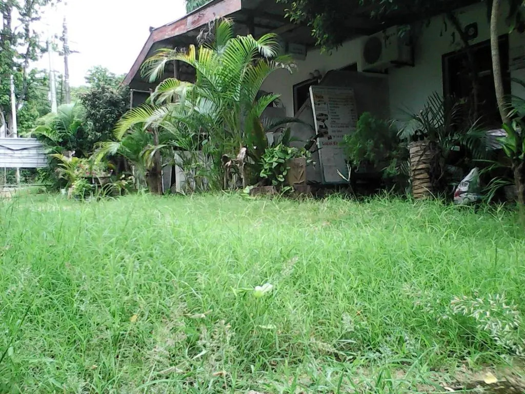 Lotus Inn Tourist Resort