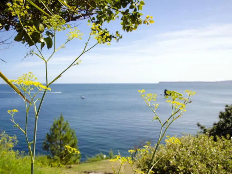 Holiday Home Befreo