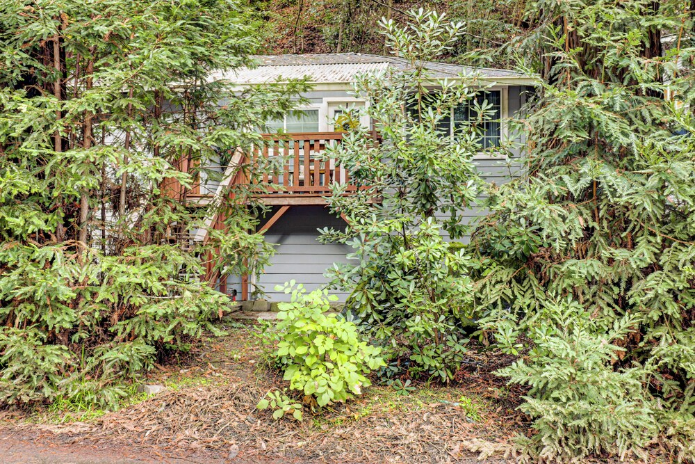 Russian River Retreat! Woodsy Guerneville Bungalow
