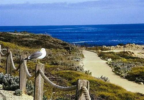 Asilomar Conference Grounds