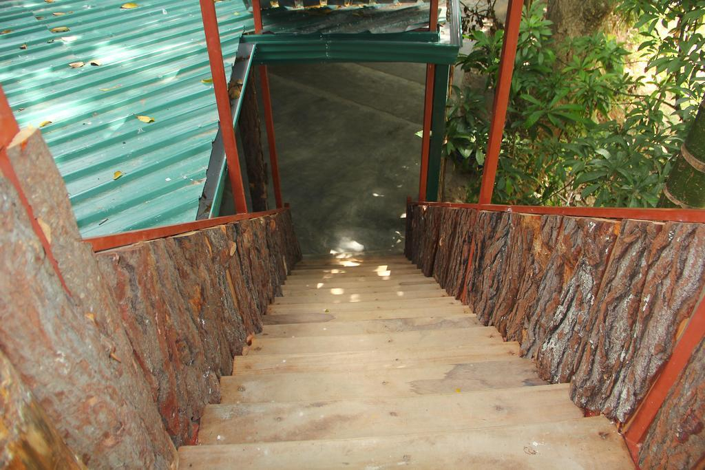 Pines Hut