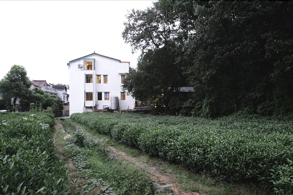 Bird Singing Hotel
